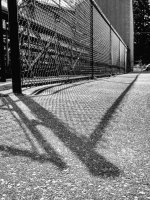 Week 30 - Shadows 6.jpg Week 30 - Shadows 6.jpg