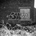 2077_006.JPG