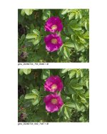 Qimage One Output [0002-1].jpg