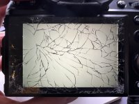 IMG_2746.jpeg IMG_2746.jpeg
