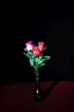 IMG_0002 LoRes.jpg