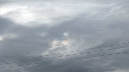 PXL_20260812_174223720.jpg PXL_20260812_174223720.jpg