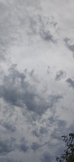 2224.jpg 2224.jpg