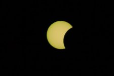 IMG_8302.jpeg IMG_8302.jpeg