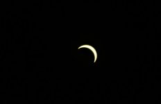 IMG_8316.jpeg IMG_8316.jpeg