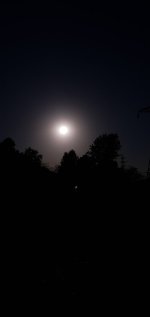 20260812_185538.jpg