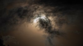 _1010042-Edit.jpg