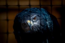 IMG_7489.jpeg