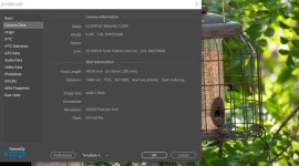 Screenshot birdbath olympus_red.jpg
