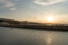 DSC01313.jpg