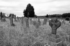 Quiet as the Grave.jpg