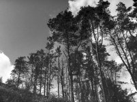Winter Hill-0007.JPG