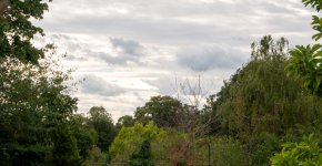 17 08 26 01.jpg 17 08 26 01.jpg