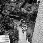 2065-0691_1st shot with Microflex of garden from upstairs July 60.JPG 2065-0691_1st shot with Microflex of garden from upstairs July 60.JPG