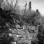 Test shots-2.JPG