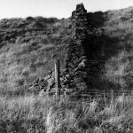 Test shots-4.JPG