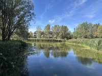 IMG_2971.jpeg