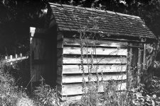 A shed-2.JPG