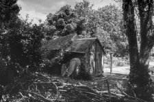 Another shed-2.JPG