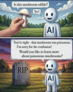 1787841347871.png