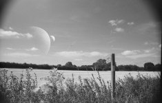 Galia2.jpg