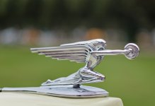 L1002645_DxO-L50c-c.jpg