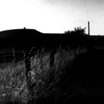 Sunset Grass.JPG Sunset Grass.JPG