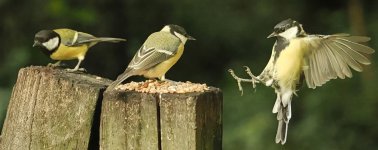 IMG_1444.jpeg