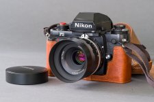 Nikon-1.jpg