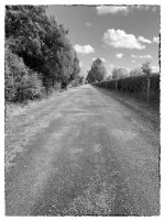 One Street 2.jpg