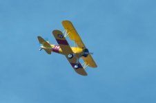 _1050865.jpg