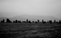 2026 Sept Stone Circle.JPG