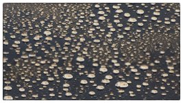Droplets.jpg