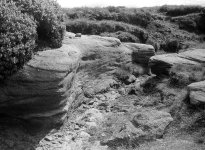 Gritstone.jpg Gritstone.jpg