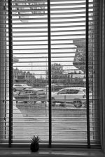 IMG_0224windowbw.jpg IMG_0224windowbw.jpg