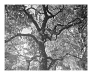 $(Large Format).jpg $(Large Format).jpg
