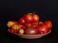 tomato-2.jpg