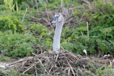 1000053324.jpg