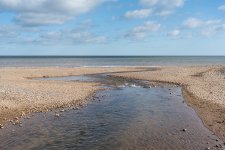 DSC01489.jpg
