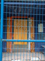 Week 41 - Story Picture 4.jpg Week 41 - Story Picture 4.jpg