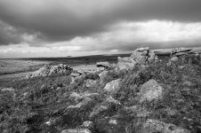 009 Legis Tor 02-1001276 PS Adj.jpg
