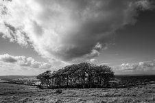023 Cloudscape 03-1001310 PS Adj.jpg
