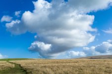 021 Cloudscape 01-2000573 PS Adj.jpg