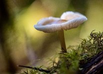 Week 42 - Hidden Details 2.jpg