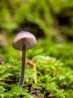 Week 42 - Hidden Details 3.jpg