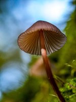 Week 42 - Hidden Details 4.jpg