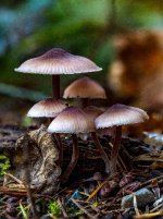 Week 42 - Hidden Details 5.jpg