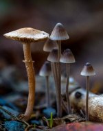 Week 42 - Hidden Details 6.jpg