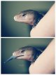PicsArt_10-18-09.58.26.jpg
