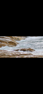IMG_5668.png